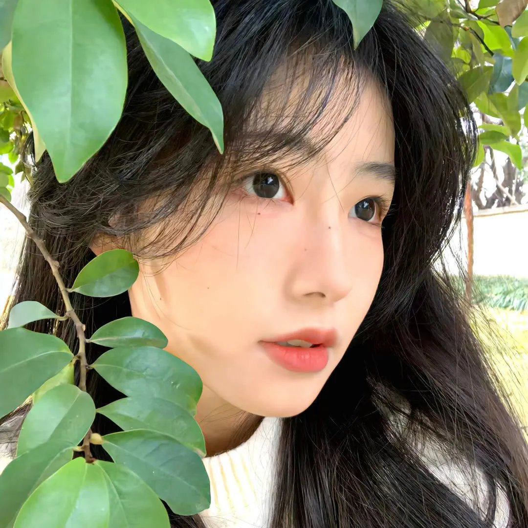 我私人的爱达荷
